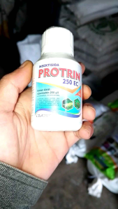 Protin INSEKTISIDA PROTRIN 250 EC 100ml untuk Kelapa Sawit Mengendalikan Ulat Api Setothosea Asigna Bahan Aktif Sipermetrin 250 g/l
