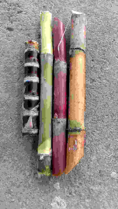 bibit stek tebu 4 warna