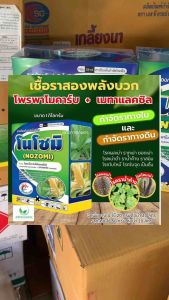 โนโซมิ สองพลังบวก โพพาโมคาร์บ+เมทาแลคซิล ขนาด 1 กิโลกรัม ใบไหม้ ใบจุด ราน้ำค้าง ราสนิม รากเน่า โคนเน่า เน่าดำ เน่าคอดิน ได้ทั้งทางใบและทางดิน