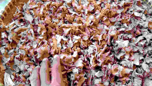 lengkuas /laos kering iris 100 gram kualitas super sebagai bumbu dapur dan