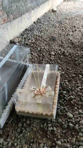 Kotak Seserahan Pernikahan & Isi 4 Parcel Mika