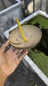 กะลามะพร้าว ขัดเคลือบเงาดี กะลาลอยกระทง กะลานวด ชามกะลา กะลาเดิน คุณสมบัติของแบบ D.I.Y เสิร์ฟ์ซูมดิจิทัล