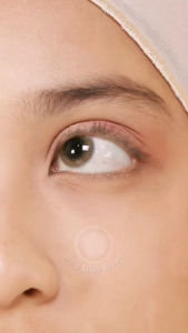BLINCON 1 Day Color Contact Lenses 10 pieces Daily Disposable cosmetic contact lenses