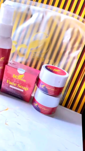 Paket Basic Sci Beauty Glow 4in1 Original: Produk Kecantikan Alami untuk Perawatan Kulit Sehari-hari