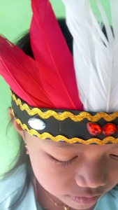 Bando Bulu ||Mahkota karnaval hiasan kepala menari adat