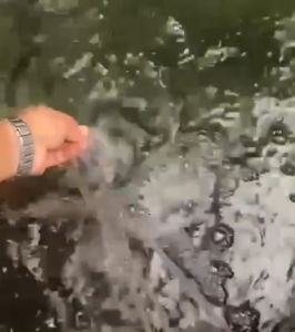 ชุดปั้มออกซิเจน รุ่น EZY-OXY20W