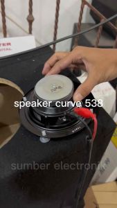 Speaker Woofer 5 Inch Curve 538
