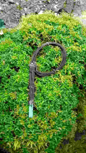 Perangkap Ayam Hutan 1 Ikat Isi 25 Tiang Model Tabur