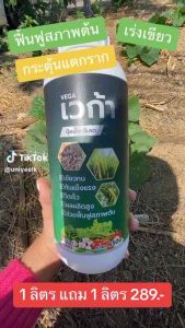 คู่หูตัวแรง - เวก้าเขียว+เวก้าแดง สำหรับหอม พืชลงหัว ขนาด 1 ลิตร เร่งราก เร่งโต หัวใหญ่ หัวดก