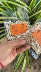 ชักมดลูกอัดเม็ด 1เซ็ต2ถุง บรรจุ150เม็ด แคปซูลชักมดลูก 250มิลลิกรัม