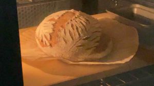 Sourdough Whole Wheat/ Rye ขนมปังเปลือกแข็ง เนื้อนุ่ม หนึบ ไม่กระด้าง