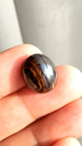 ✨ ไทเกอร์ อาย ทรงหลังเบี้ย ✨ มีหลายโทนสี Yellow และ Red Tiger Eye และ Iron Tiger อยู่ในชิ้นเดียวกัน