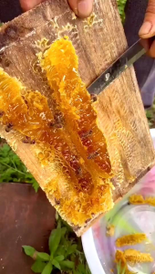 Madu Asli Multiflora Super 1kg Natural Raw Honey