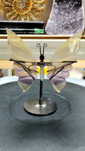 Natural Finest Fluorite Crystal Butterfly Ornament FB06