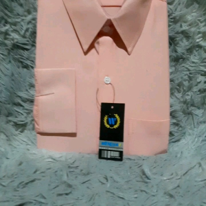 Wendyat Kemeja Pria Formal Warna Salem/Kemeja Polos Lengan Panjang