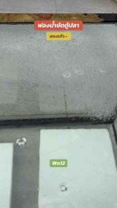 ฟองน้ำล้างตู้ปลา ขัดกระจกตู้ปลา ขัดคราบน้ำออกง่าย คราบตะกรัน