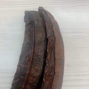 apleura tetraptera /prekese a good herb that is rich in vitaminsminerals.