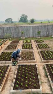🔥ขายดี🔥ปุ๋ยน้ำหมักสำหรับ🥬พืชผักสวนครัว🥬สูตรเข้มข้นX5 มีขนาดใหญ่ขึ้น แข็งแรงขึ้น ให้ผลผลิตมากขึ้น ผักสวนครัว