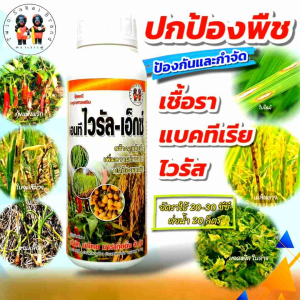 [2 แถม 1] ตราเงาะคู่ ไวรัล-เอ็กซ์ ไวรัส แบคทีเรีย ใบจุด ใบไหม้ ใบหงิกด่าง กุ้งแห้งพริก