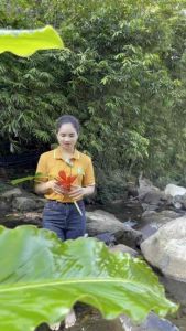 Trà An Xoa - loại đặc biệt