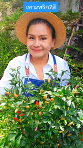 ดินปลูก 19 บ. พีทมอส กระถาง 4 นิ้ว 🍃 🌱 ปลูกง่าย 🍃 พร้อม 100% ถููกที่สุด