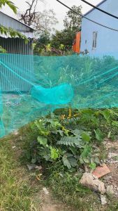 Dớn kẻm bắt tép tôm cá dớn đại 3 hom mình dài 3m đường kính 58cm50cm45cm38cm mắt lưới 35 li