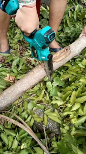 เลื่อยโซ่ makita 8นิ้ว น้ำหนักเบา เลื่อยได้ถนัดมือ อุปกรณ์ครบครัน รับประกันยาวนาน