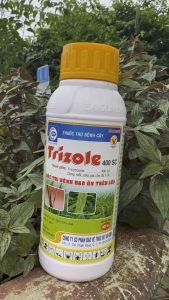 Thuốc trị đạo ôn trên lúa Trizole 400SC - chai 500ml dùng 1ha
