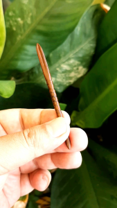 ไม้ปั่นกว่าชน หรือแมงคาม mini2025ทำจากไม้พยูงแท้100%