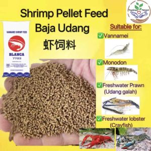 Shrimp Feed (Blanca feed) baja udang makanan udangsinking pellet prawn feedlobster feed crayfish feed baja lobster