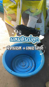 (Perlite) เพอร์ไลท์ วัสดุปลูก ช่วยระบายน้ำและอากาศ (ขนาด 1 ลิตร)