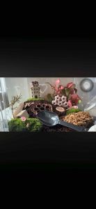 Cubaris Isopods (10 pcs) | AquaTerra