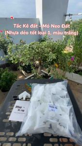 [Giá Rẻ] 1000 Cái Tắc Kê Đất - Mỏ Neo Đất Nhựa Dẻo Chất Lượng Cao Màu Trắng Neo Chằng Đất