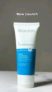 Wardah Acnederm Salicylic Acid & Zinc Acne Clearing Low pH Foaming Cleanser
