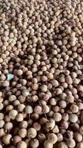 ( 3KG ) Vải Sấy Khô Bắc Giang hàng ngon 100% Loại 1 ( SX t6/2025 )