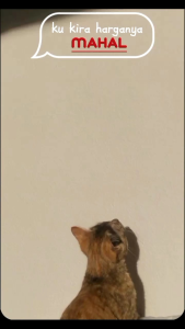 Sarung Bantal Bermotif Lebar & Bantal Ukuran 45x66