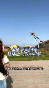 Diều cần câu 50cm cho bé kèm cần câu + diều 50cm + dây các nhận vật hoạt hình