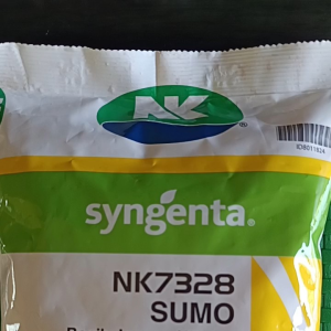 Benih Jagung Hibrida NK7328 Sumo 1kg