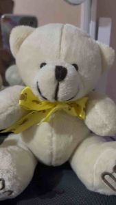 Boneka Teddy Bear 16cm krem Premium/Boneka premium untuk wisuda 16cm/Boneka Teddy Bear kaki 16cm