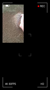 PROMO EXPRESS Pasir Kucing Gumpal Wangi Full Bentonite CLOVER MAMA MUGEN (New LIBLOB) 12 LITER