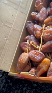 Kurma Tunisia Tangkai grosir kemasan plastik dus oleh oleh haji dan umroh makanan diet sehat