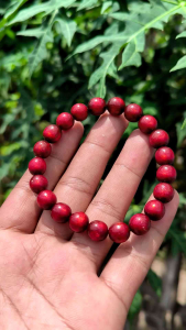 Gelang Butiran Akar Bahar Merah: Gelang Tahan Lama & Desain Alami