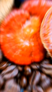 Bio Reishi Coffee ( กาแฟ ไบโอริช ) 100% หรือ "กาแฟ ไบโอริช 100%