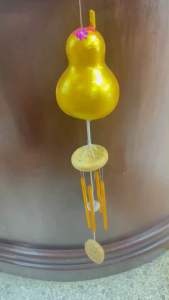 กระดิ่งลม น้ำเต้าทอง น้ำเต้าเงิน