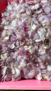 Bawang Goreng Kriuk: Snack Goreng Sehat & Enak