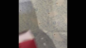 🔥ของแท้🔥 Antiphlamine double power cataplasma แผ่นแปะเกาหลี 1 ซอง 130 บาท