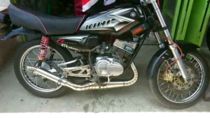 Kualitas Tinggi Knalpot RX King Kolong Cobra Dbs Stainless