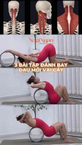 Vòng tập yoga bản rộng vòng tập yoga 20cm free ship vòng tập yoga bản lớn vòng tập yoga bản bự. Vòng tập yoga mầu Xanh Tím Vàng Xanh Lá Cam Đỏ Vòng yoga 33x20cm vòng tập yoga a mats bền đẹp chịu lực đến 300kg.