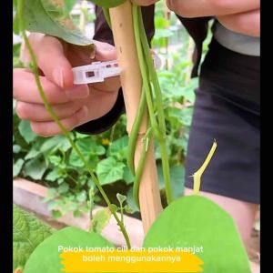 Plant Fixed Clips Plant Clips Support Plant Vegetable Tomato Melon Vine Fixed Clips Plant Hanging Clip