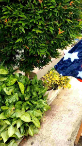 Baby cape Bibbo Little Star - Selimut Bayi Sekaligus Jaket Bayi Multif Fungsi